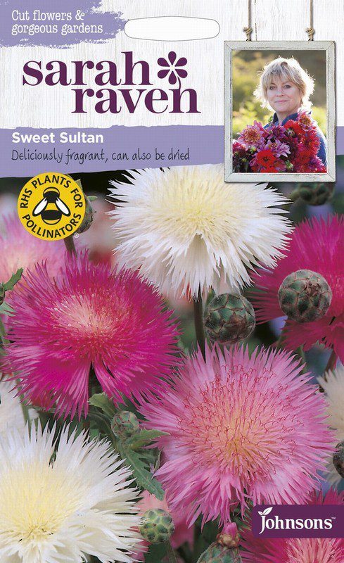 UK/SR-SWEET SULTAN