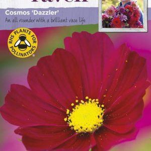 UK/SR-COSMOS Dazzler