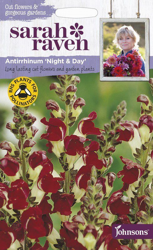 UK/SR-ANTIRRHINUM Night & Day