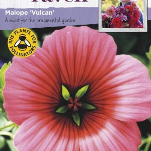 UK/SR-MALOPE Vulcan