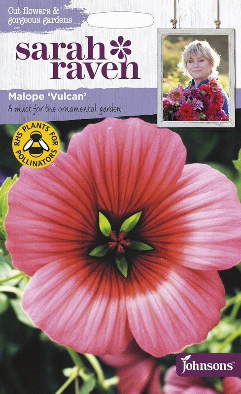 UK/SR-MALOPE Vulcan