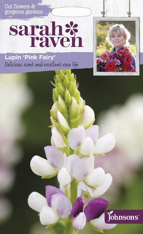 UK/SR-LUPIN Pink Fairy