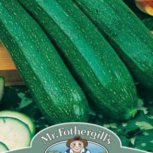 UK/FO-COURGETTE All Green Bush