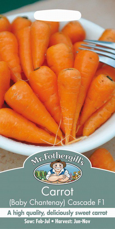 UK/FO-CARROT (Baby Chantenay) Cascade F1