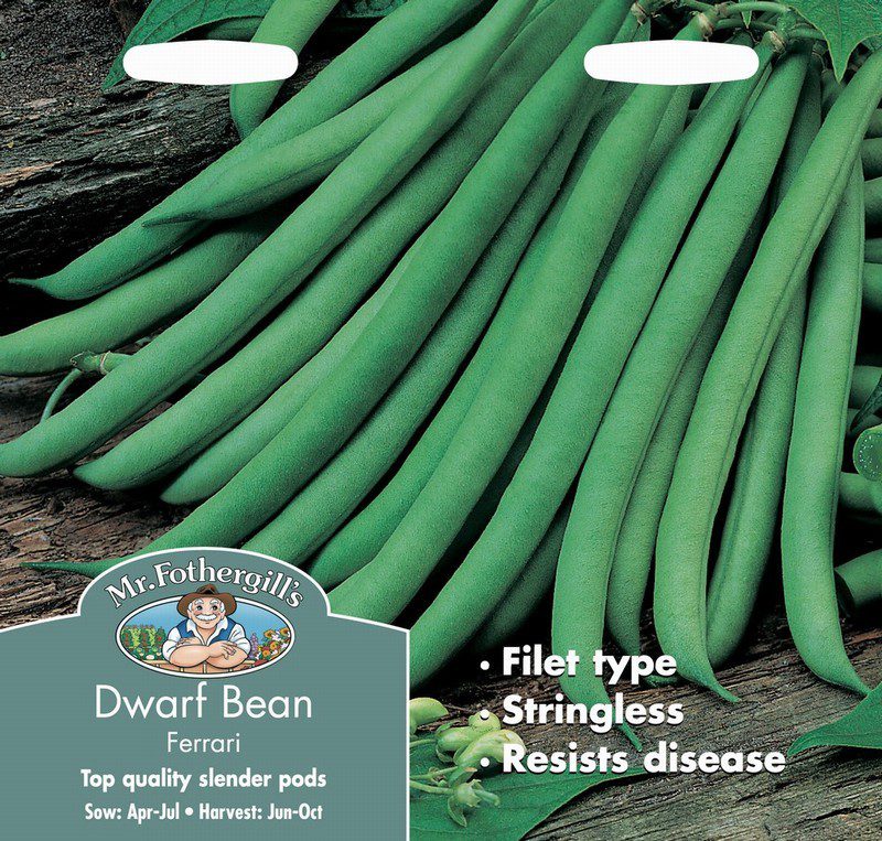 UK/FO-DWARF FRENCH BEAN Ferrari