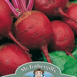 UK/FO-BEETROOT Perfect 3