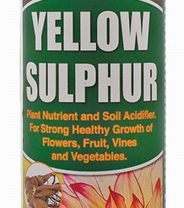 Yellow Sulphur