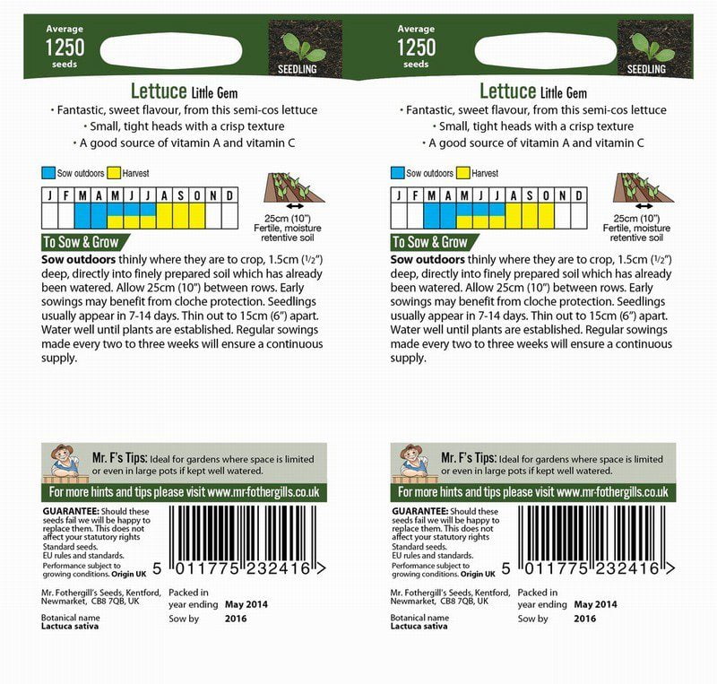 UK/FO-LETTUCE Little Gem Bumper Pack - Image 2