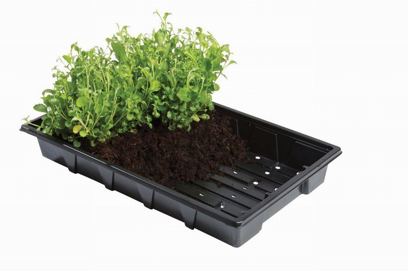 Professional Seed Trays (5) - Image 2