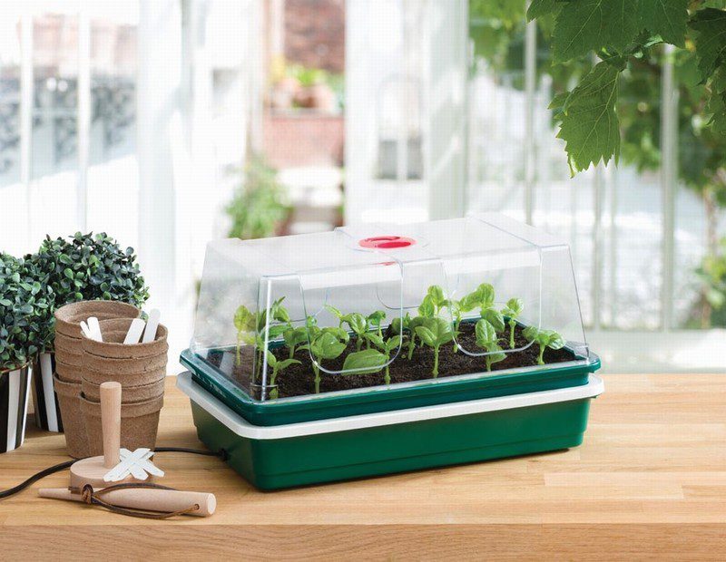 One Top Electric Propagator - Image 2