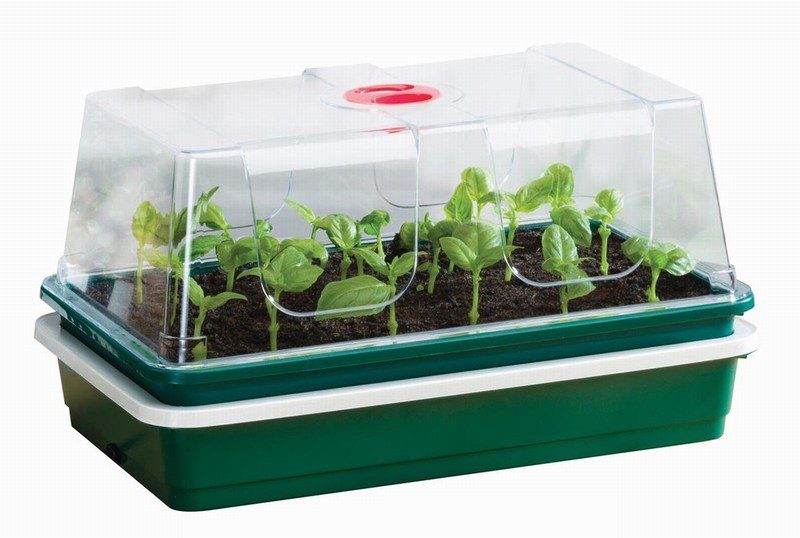 One Top Electric Propagator - Image 4