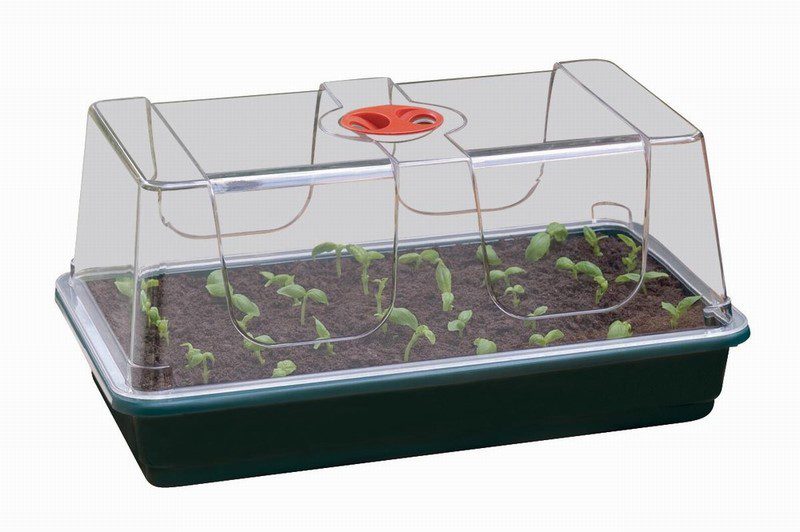 Large High Dome Propagator With Holes - Image 2
