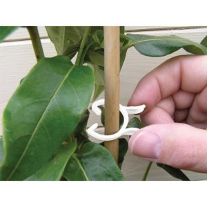 Bio-Based Plant Clips (25) (2 Sizes)
