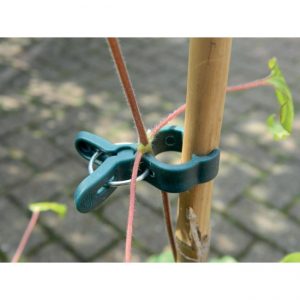Small Spring Plant Clips (5)
