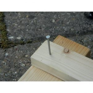 50mm (2") Galvanised Nails (100g)
