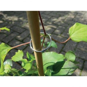 Galvanised Plant Rings (25)