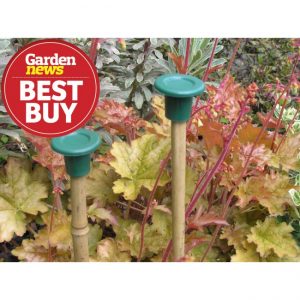 Cane Caps (10)
