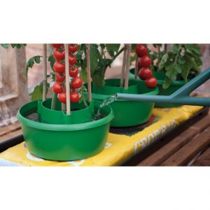 Plant Halos Green (Set of 3)