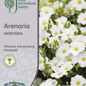 UK/FO-RHS-ARENARIA montana