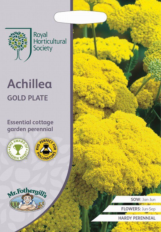 UK/FO-RHS-ACHILLEA Gold Plate