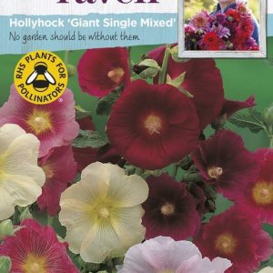 UK/SR-HOLLYHOCK Giant Single Mixed
