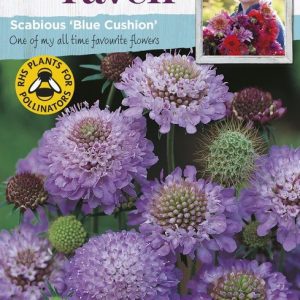 UK/SR-SCABIOUS Blue Cushion