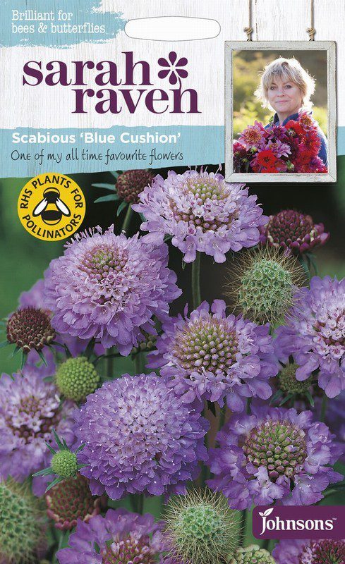 UK/SR-SCABIOUS Blue Cushion