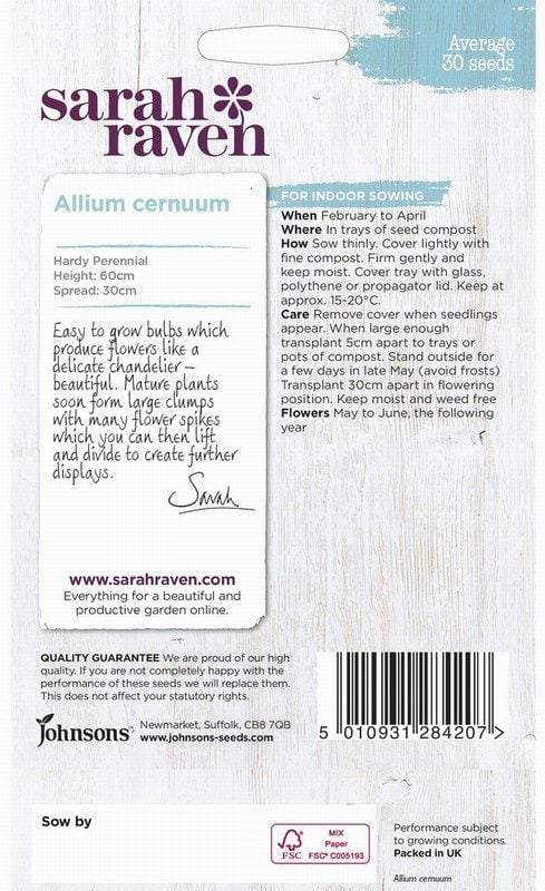 UK/SR-ALLIUM cernuum - Image 2