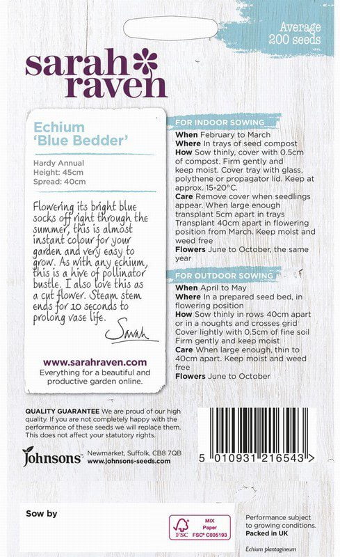 UK/SR-ECHIUM Blue Bedder - Image 2