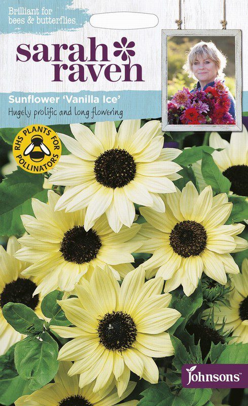 UK/SR-SUNFLOWER Vanilla Ice