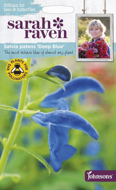 UK/SR-SALVIA Deep Blue