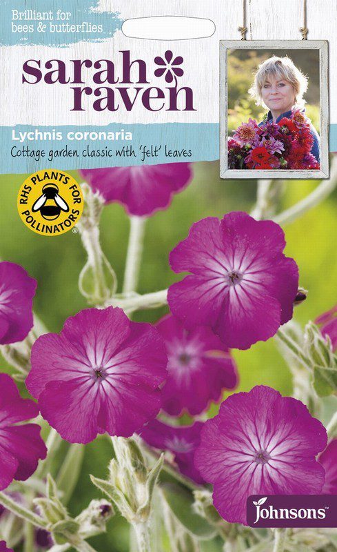 UK/SR-LYCHNIS coronaria