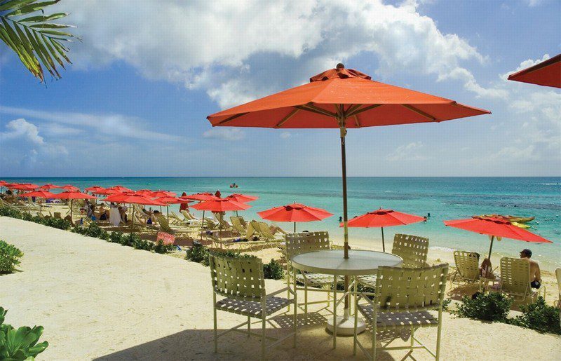 Large Parasol Cover Black - Image 5