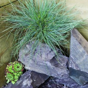 Plum Slate Rockery