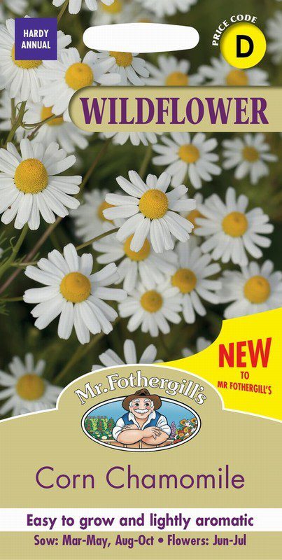 UK/FO-WF-Corn Chamomile