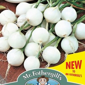 UK/FO-ONION De Paris (Silverskin)
