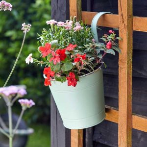 6" Fence & Balcony Hanging Pot - Sage