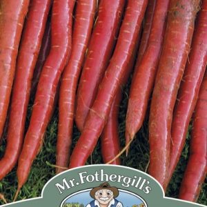 UK/FO-CARROT Malbec F1