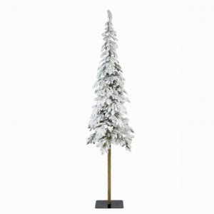 Alpine Fir Snowy 8ft