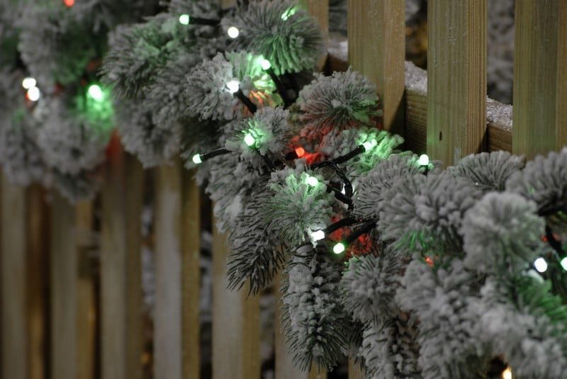 1000 glow-worm lights - jolly holly - Image 6