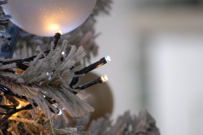 1000 firefly lights - white/warm white - gc - Image 4