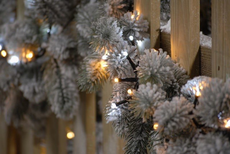 1000 firefly lights - white/warm white - gc - Image 6