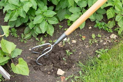 3 PRONG CULTIVATOR