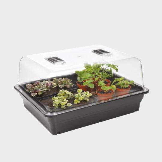 38cm Thermostatic Control Electric Propagator