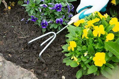 CLAW CULTIVATOR