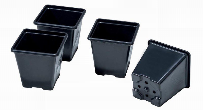 15 7cm Replacement Mini Vegetable Tray Pots - Image 2