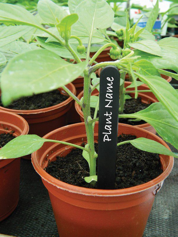 10cm (4") Black Plant Labels (50) - Image 2