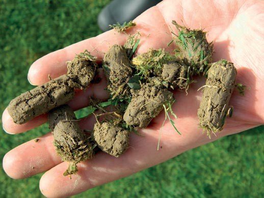 Heavy Duty Hollow Tine Lawn Aerator - Image 7