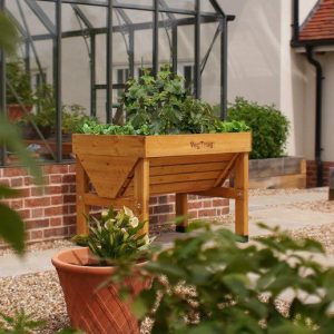 VegTrug Small - Natural (FSC 100%)