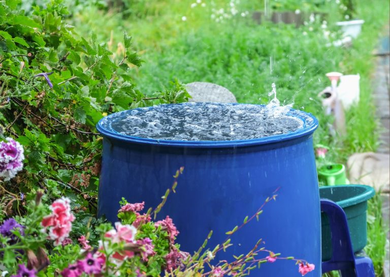 A blue rainwater barrel is collecting water, with a splash on the surface, surrounded by lush green foliage and colorful flowers.